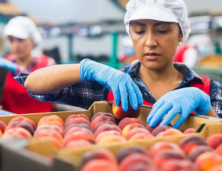 Κομισιόν. Εμπόδια και προοπτικές για την ευρωπαϊκή παραγωγή ροδάκινων έως το 2035