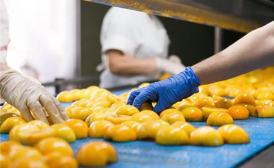 Ημαθία. Σημαντικές πρωτιές στον δευτερογενή τομέα και στη μεταποίηση