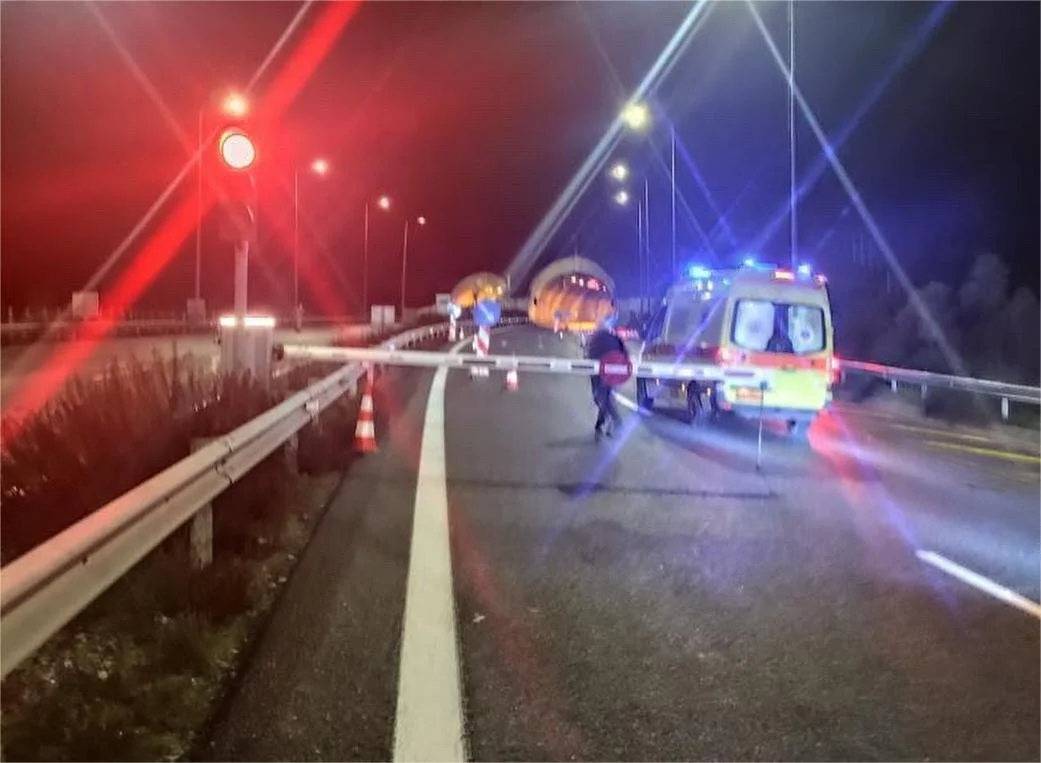 Εγνατία. Ουρές λόγω αδέσποτου!