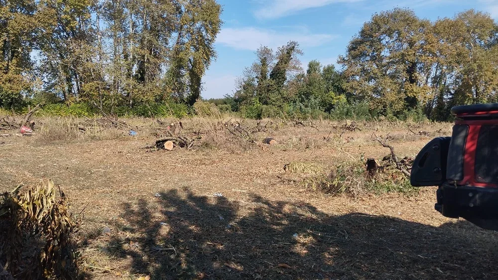 Οι ξεριζωμένες ροδακινιές, το ακτινίδιο και η Mercosur