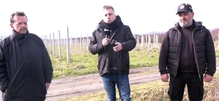 Ημαθία. Υπαρκτοί κίνδυνοι από τη μαζική στροφή στο ακτινίδιο