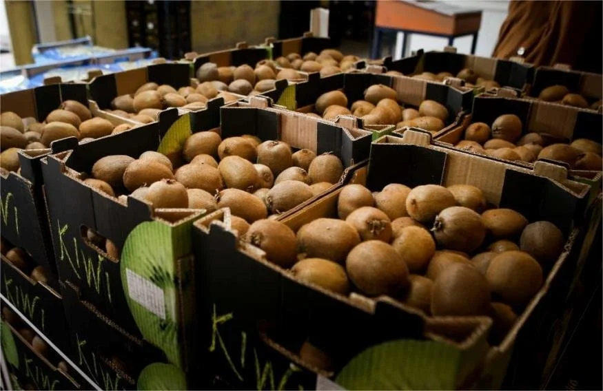 Το ελληνικό ακτινίδιο πάει Ινδία!