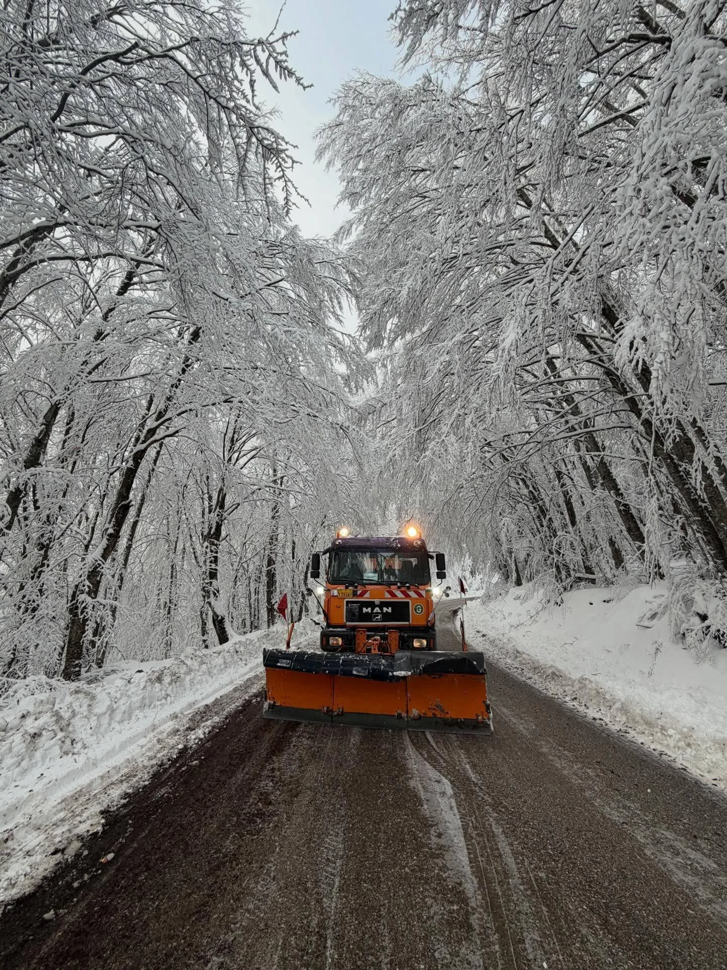 Ομορφιά και οδική ασφάλεια στο Βέρμιο