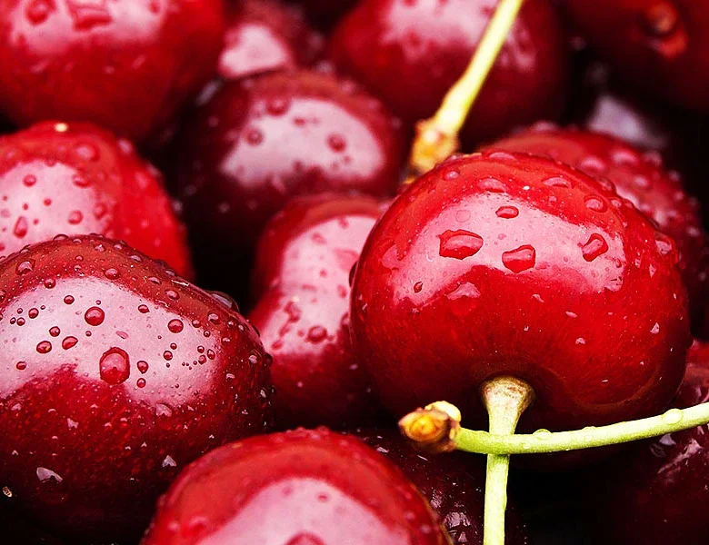 Ημαθία-Πέλλα. Αd hoc ενισχύσεις παγετού για κεράσια στο προανθικό