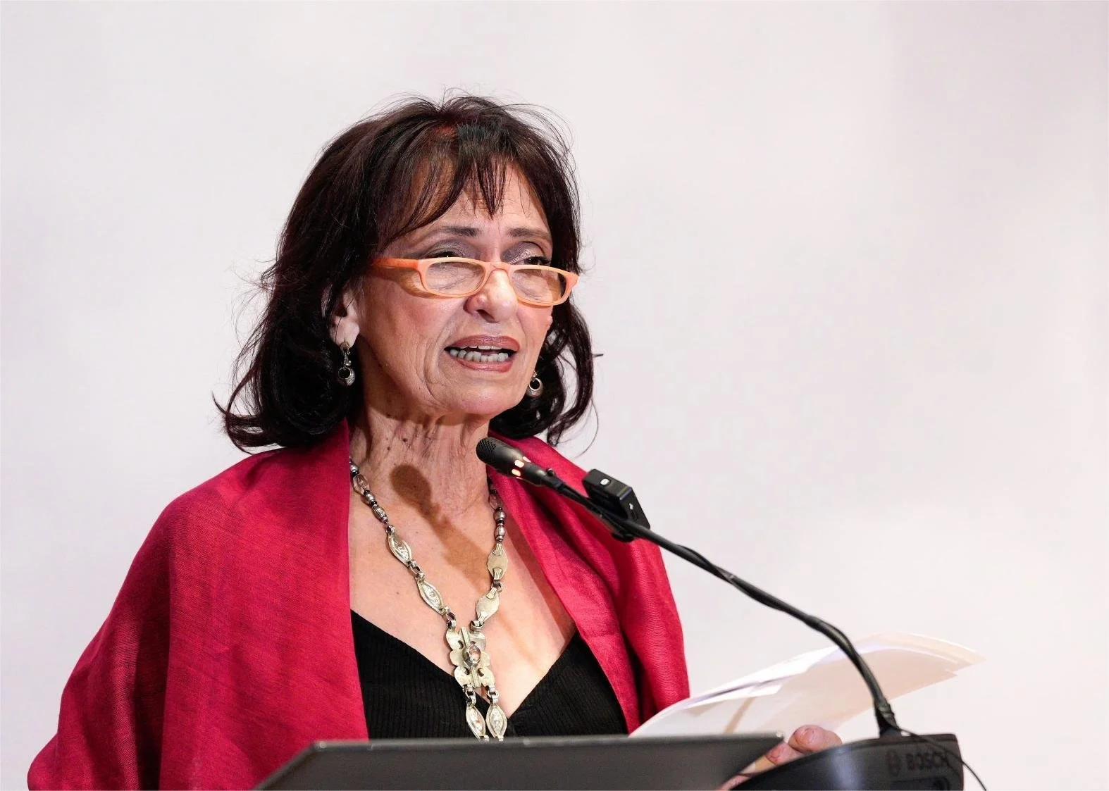 Κοτταρίδη. Στο Εθνικό Αρχαιολογικό Μουσείο για Αιγές και Μίεζα