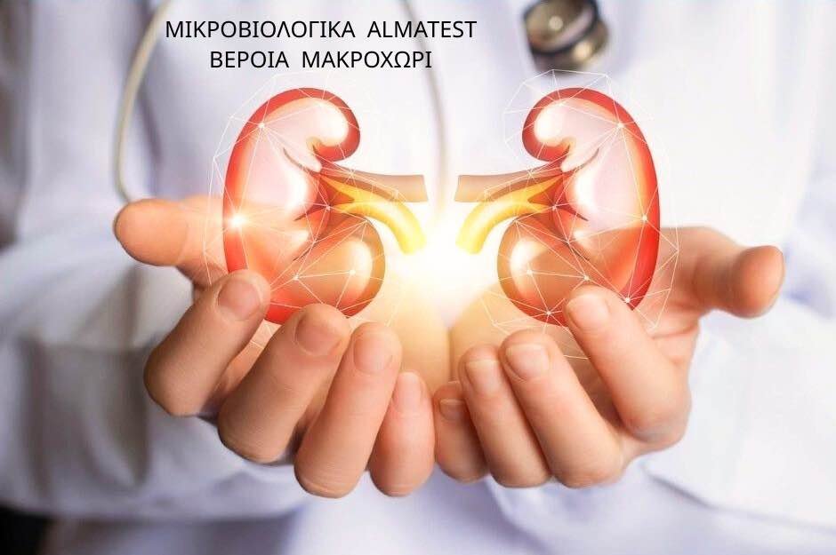 Νεφρική λειτουργία. Από την κρεατινίνη στην Κυστατίνη C - Ένα νέο, πιο αξιόπιστο ‘εργαλείο’