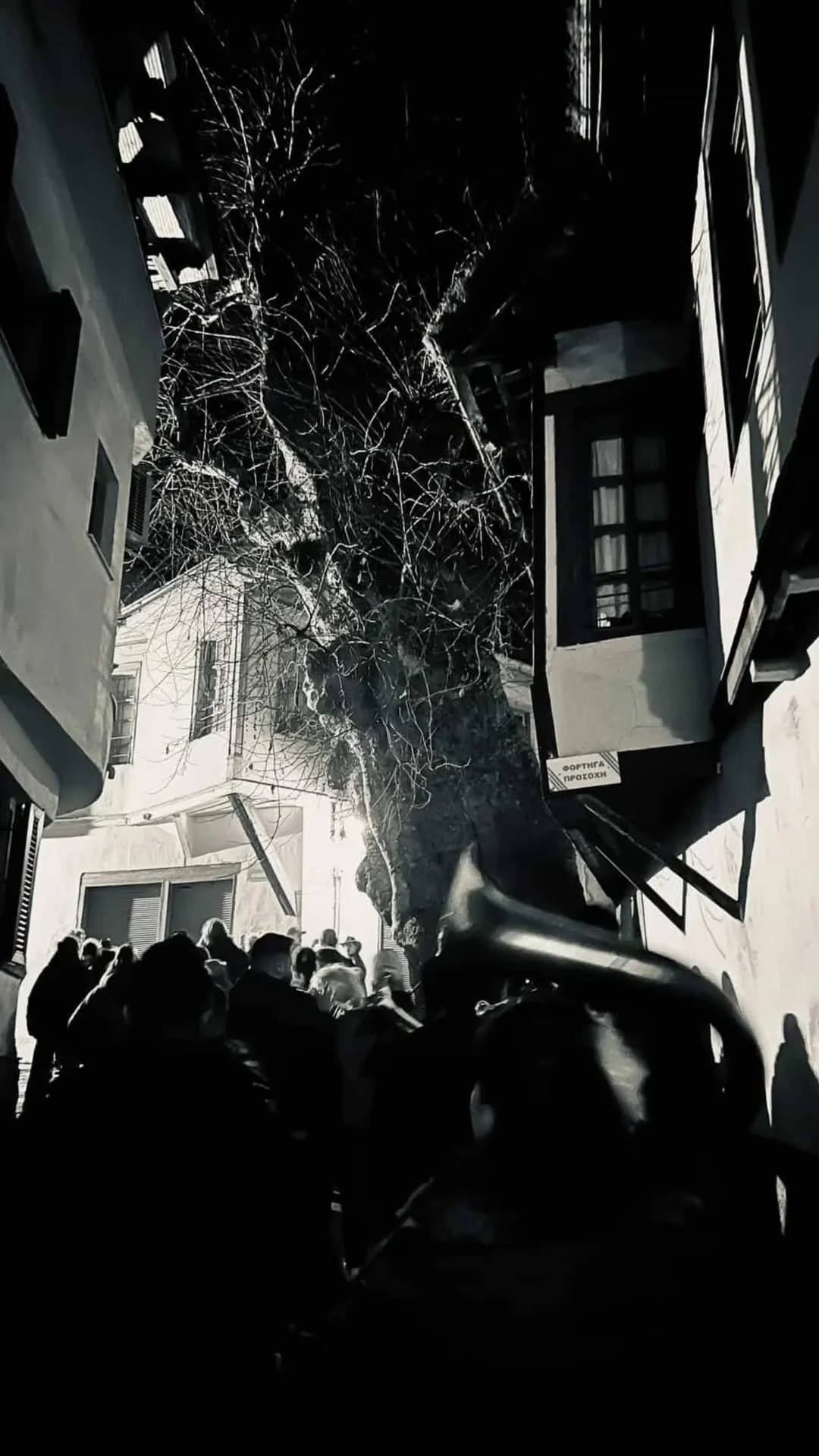 Μια πατινάδα καλλιτεχνική!