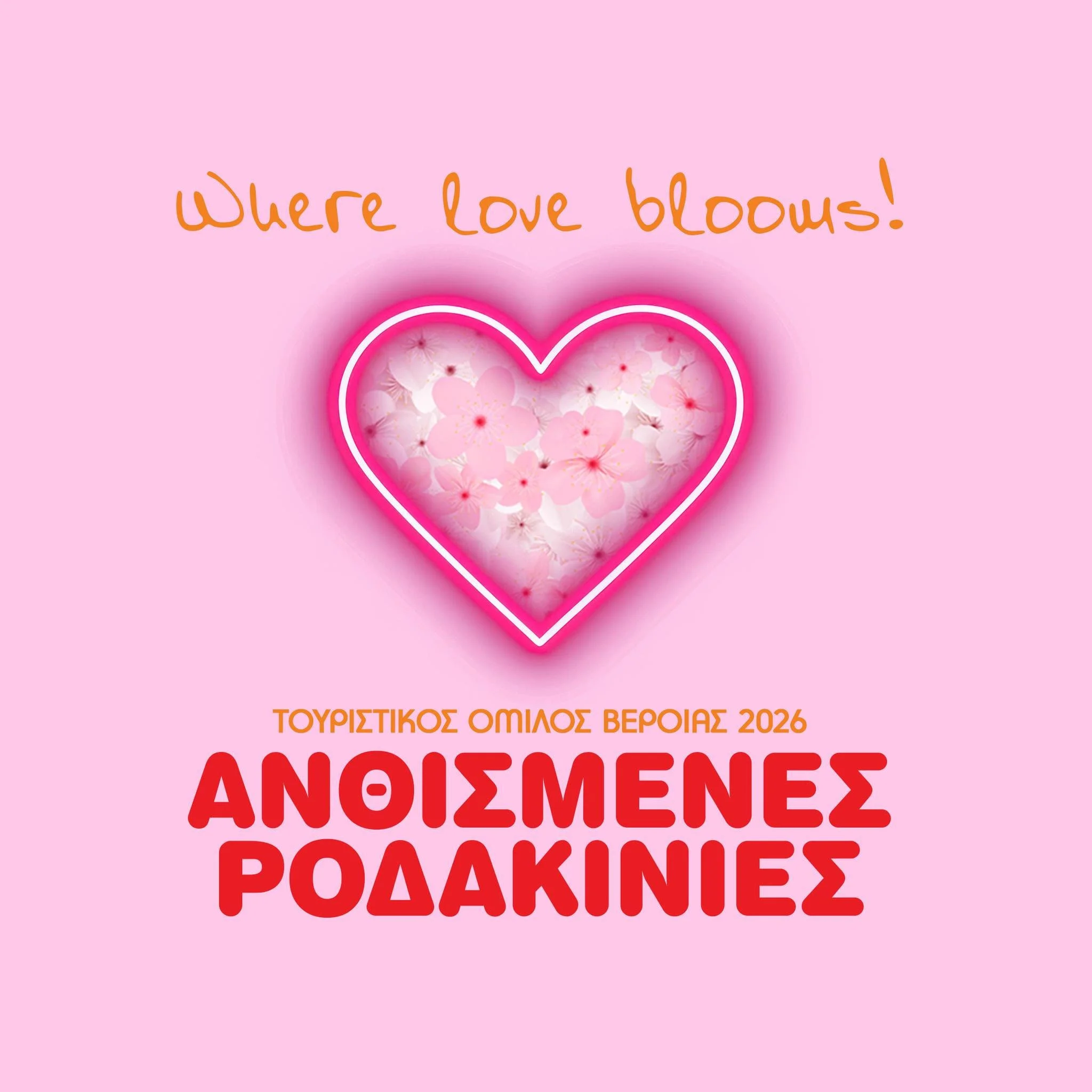 Ανθισμένες ροδακινιές. Άνοιξη στο απέραντο ροζ του βεροιώτικου κάμπου