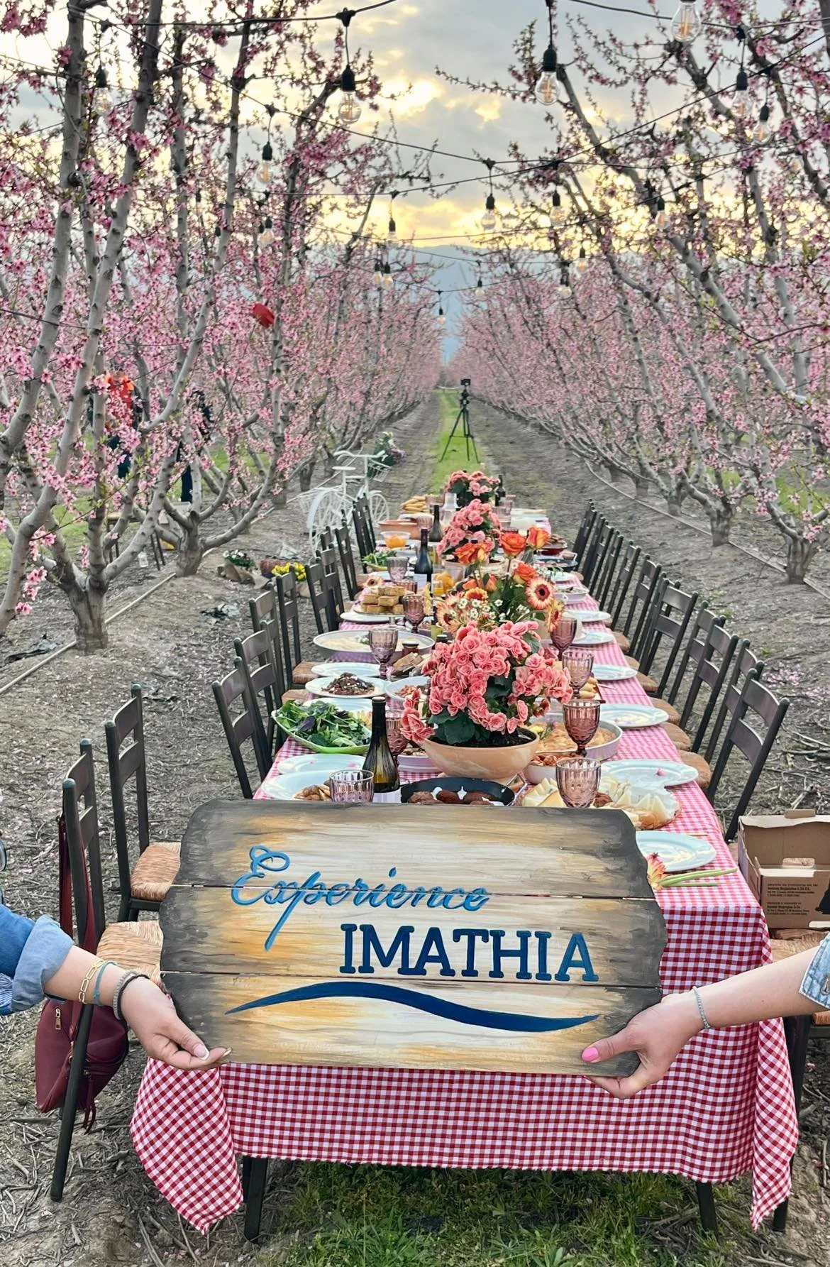 Ευχαριστήριο Κώστα Καλαϊτζίδη