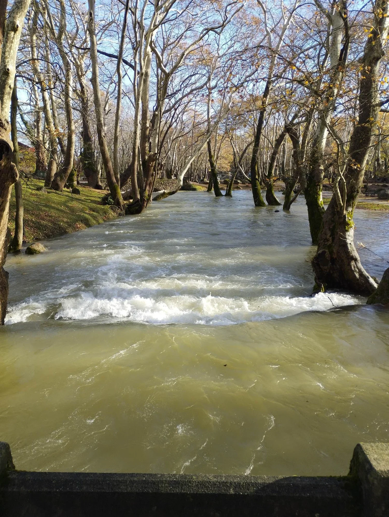 Νάουσα. Θολό ξανά το νερό εξαιτίας της βροχής
