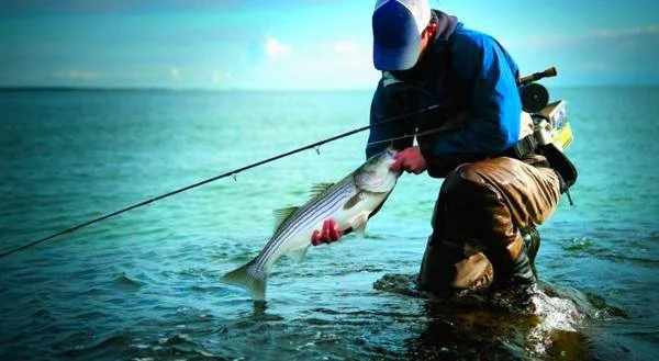 Π.Ε. Ημαθίας. Απαγόρευση αλιείας από 18 Απριλίου έως 1 Ιουνίου