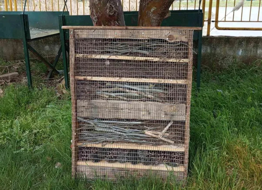 ‘Ξενοδοχείο εντόμων’ από το ΕΠΑΛ Αλεξάνδρειας!