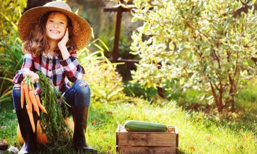 Διαδικτυακό ταξίδι στη φύση και στη διατροφή για τα παιδιά του δικτύου