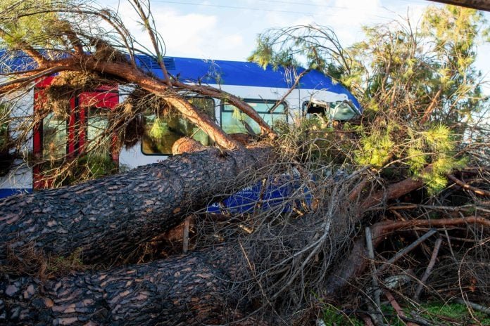 Βέροια. Πτώση δέντρου ακινητοποίησε τρένο