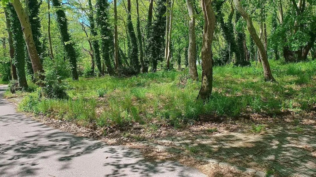 Άγιος Νικόλαος. Στο ίδιο έργο θεατές