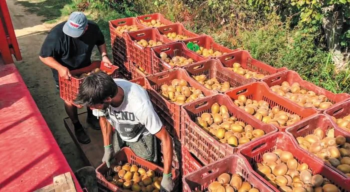 Εργάτες γης και βιοπαλαιστές αγρότες στον ίδιο αγώνα για αξιοπρεπή ζωή