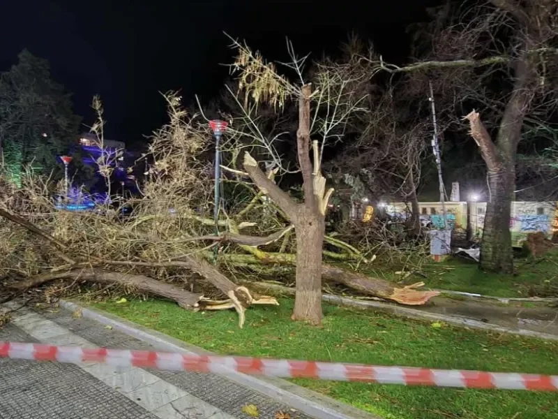 Ημαθία. Ζέστη με δυνατές ριπές ανέμου. Ιπτάμενη γλάστρα έπεσε πάνω σε αυτοκίνητο στη Νάουσα!