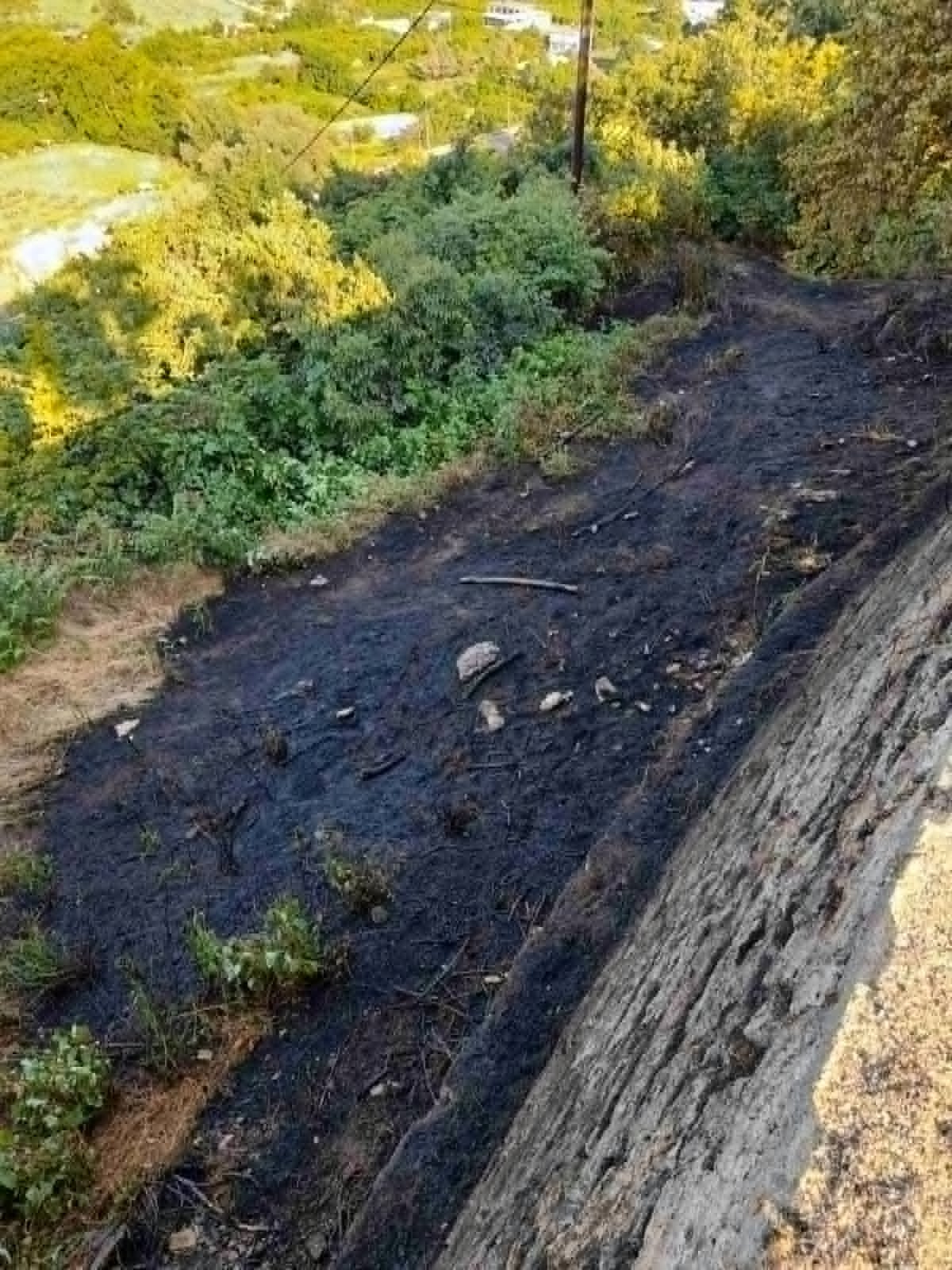 Νάουσα. Φωτιά στο πρανές του δημοτικού πάρκου!