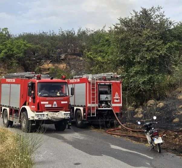 Σκύδρα. Μεγάλη επιχείρηση για φωτιά σε αγροτική περιοχή της Καλής
