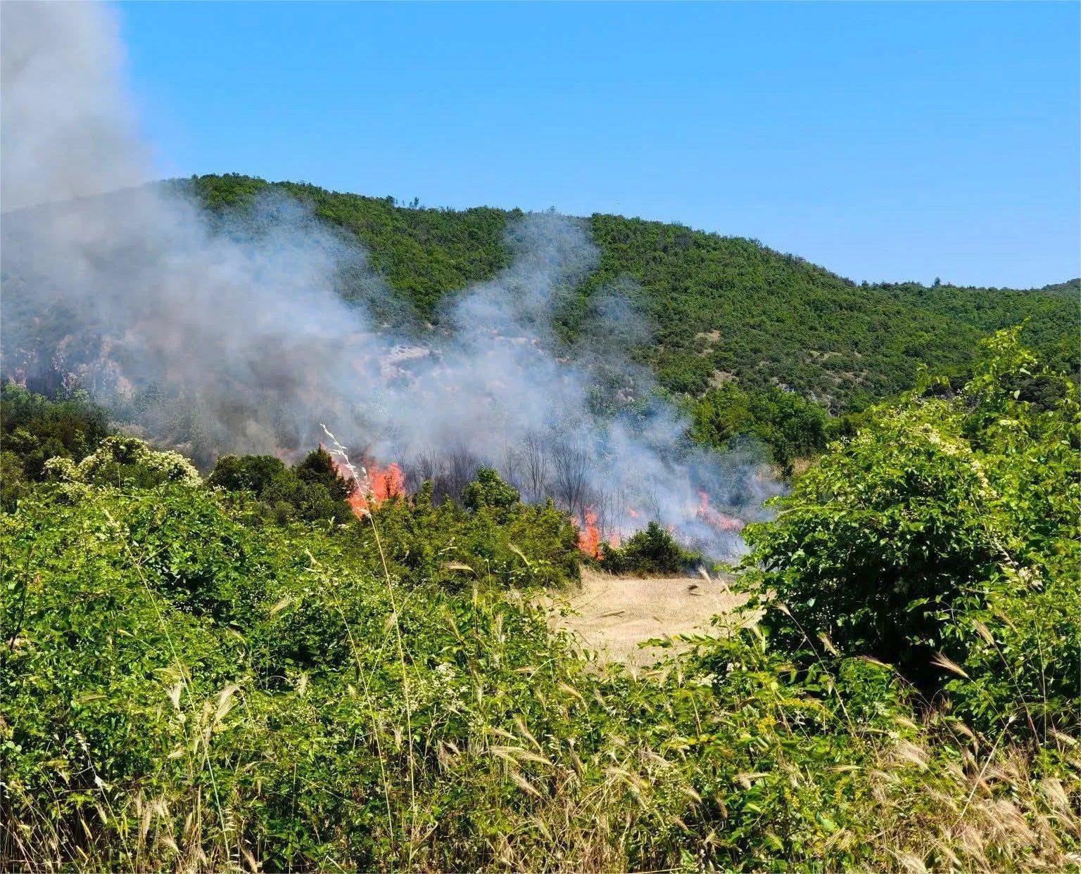 Βέροια. Επιχείρηση κατάσβεσης φωτιάς στη θέση ‘Βρωμοπήγαδο’ του Βερμίου