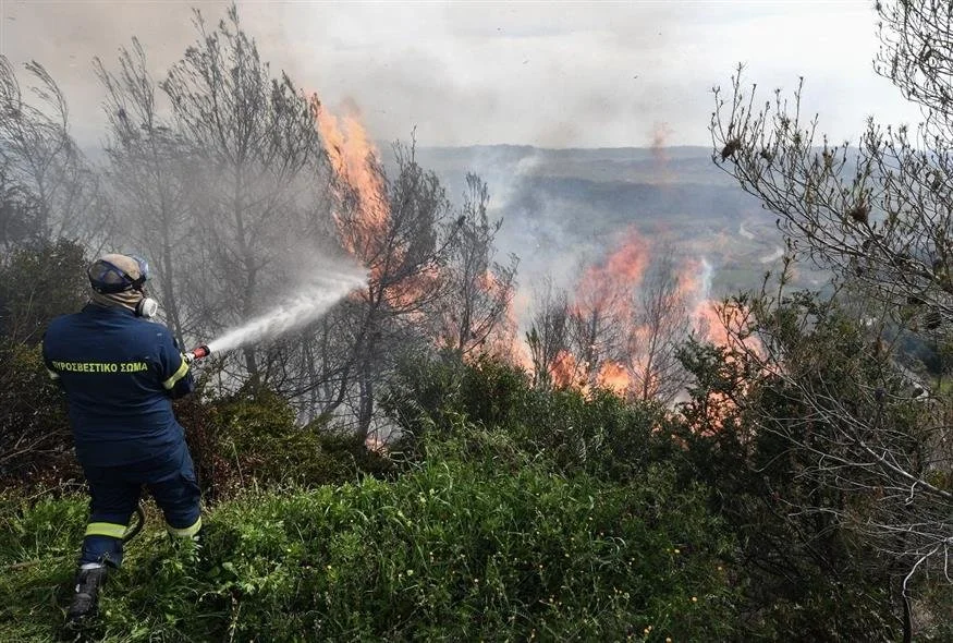 Βέροια. Απαγόρευση κυκλοφορίας σε δάση και άλση λόγω κινδύνου πυρκαγιάς