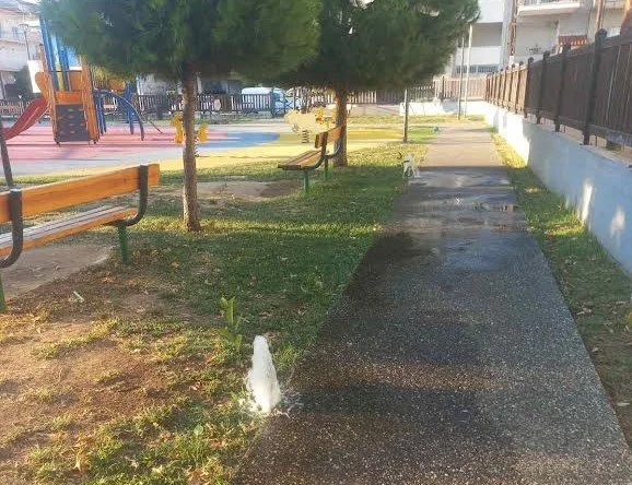Νάουσα. Άγνωστοι έσπασαν τα μπεκάκια στη ‘Χελωνίτσα’