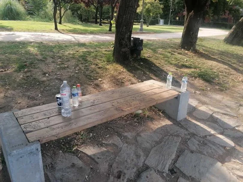 Απρόβλεπτη νεολαία