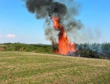 Φωτιά στον οικισμό της Αγίας Τριάδας Προδρόμου
