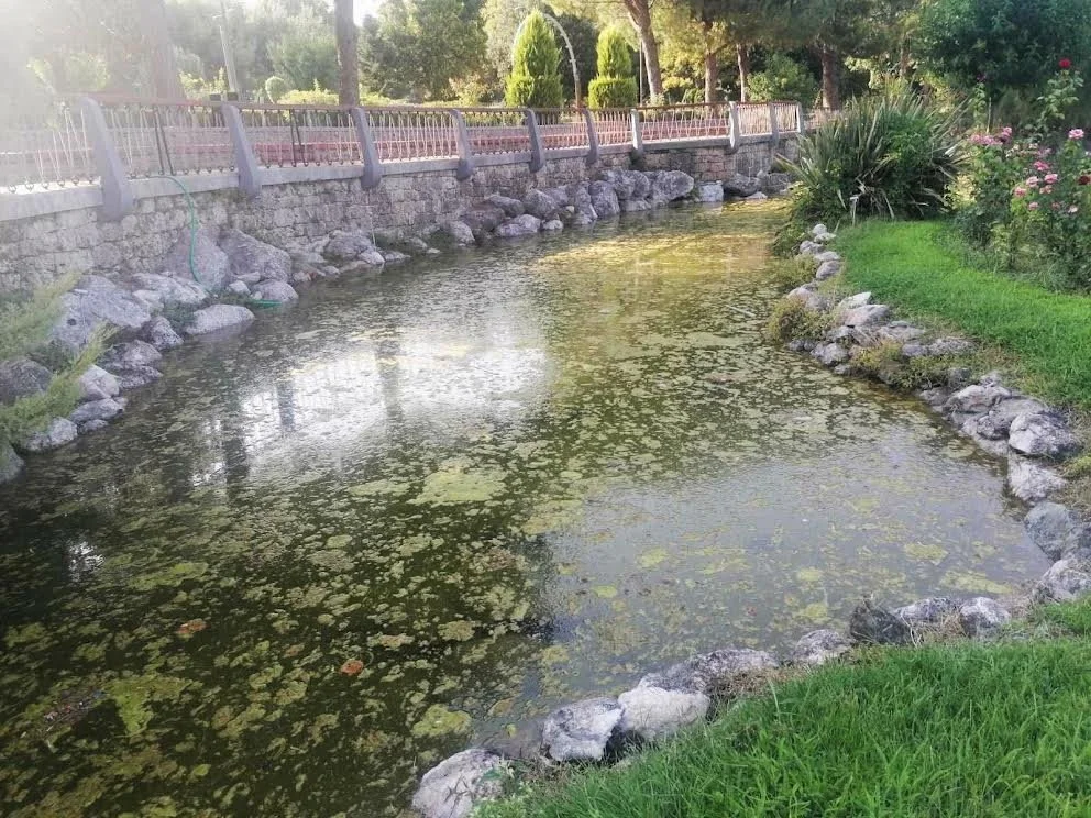 Νάουσα. Βιολογικός ψεκασμός κατά των κουνουπιών στη λίμνη του πάρκου