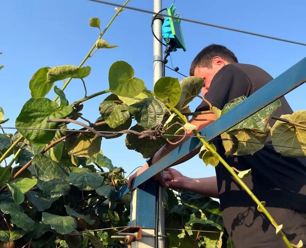 ‘Terra Mind’. Άρδευση με ΑΙ από την ‘AgriTech’ στη ΔΕΘ