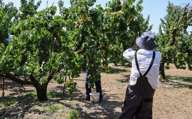 Μέχρι 15 Σεπτεμβρίου δηλώσεις ΟΣΔΕ για να μπει το τσεκ τον άλλο μήνα