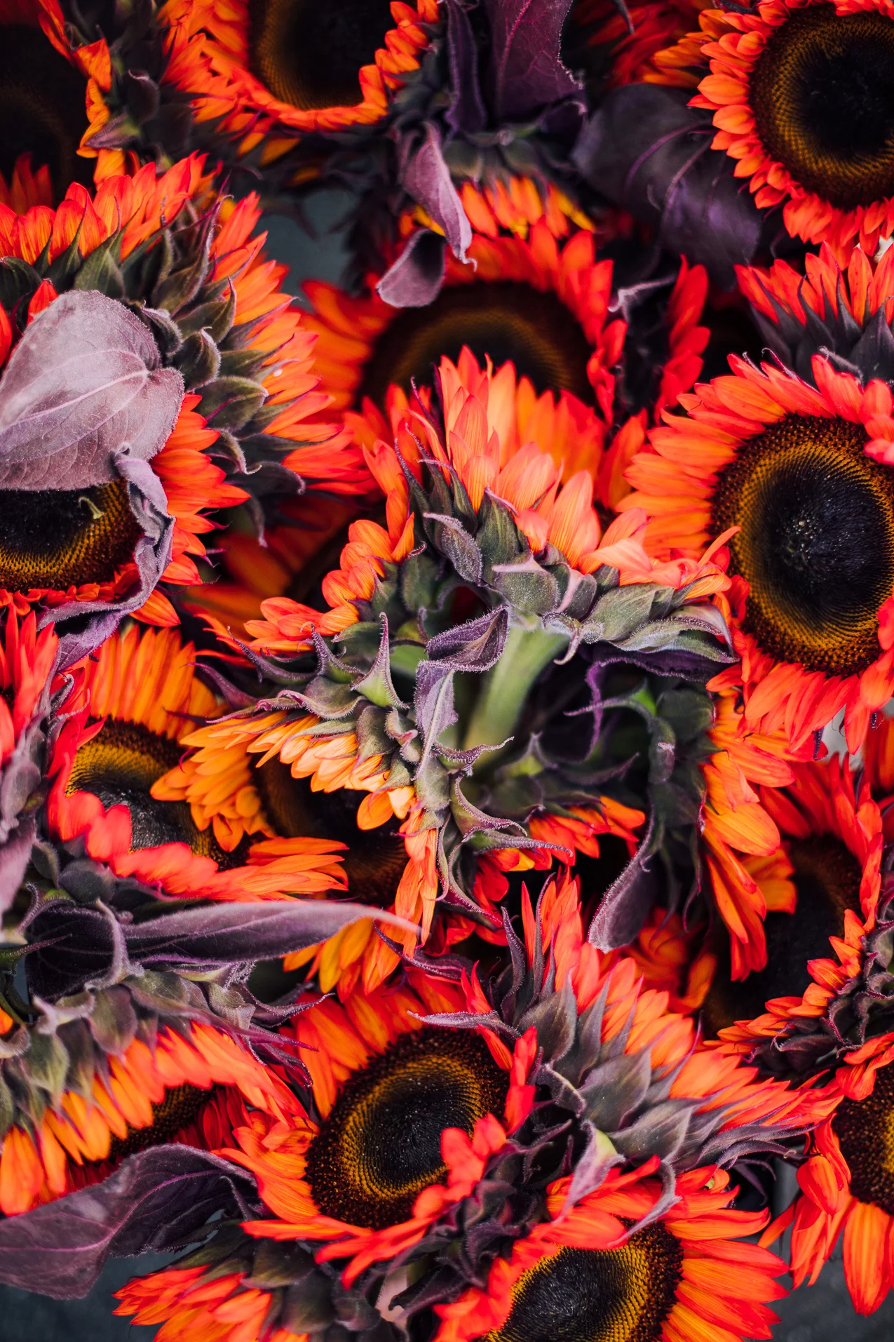 How to Beat Blogger Burnout and Live a More Creatively Fulfilling Life (with special tips for Introverts / Highly Sensitive Persons)