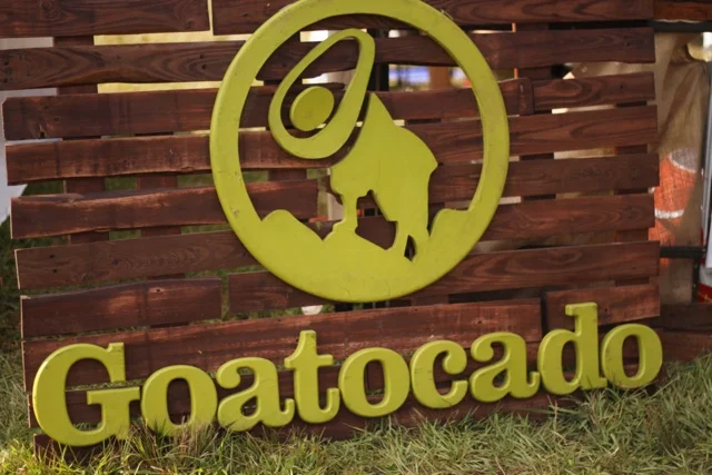 Floyd Yoga Jam + Goatocado Review