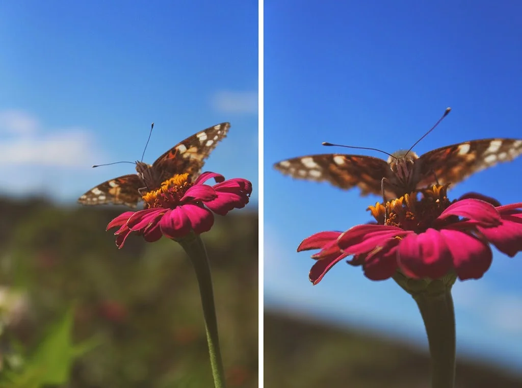 A HAPPINESS LIST + FRIDAY LINK LOVE