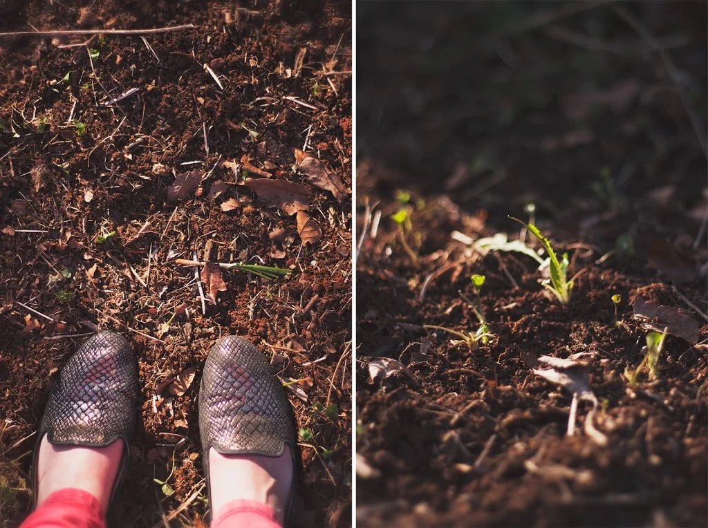 Easy Hazelnut Butter Recipe + Friday Link Love