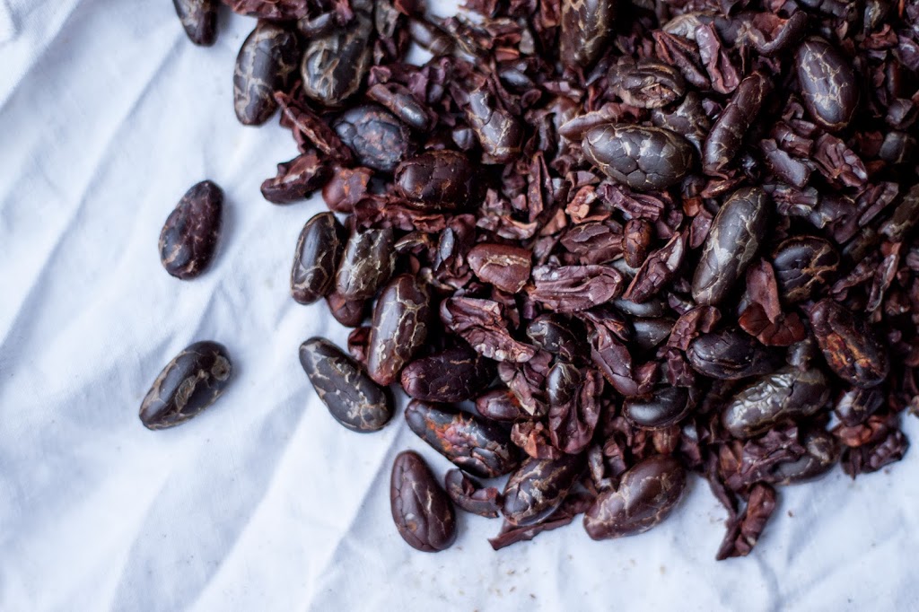 Questions For/About cocoa beans