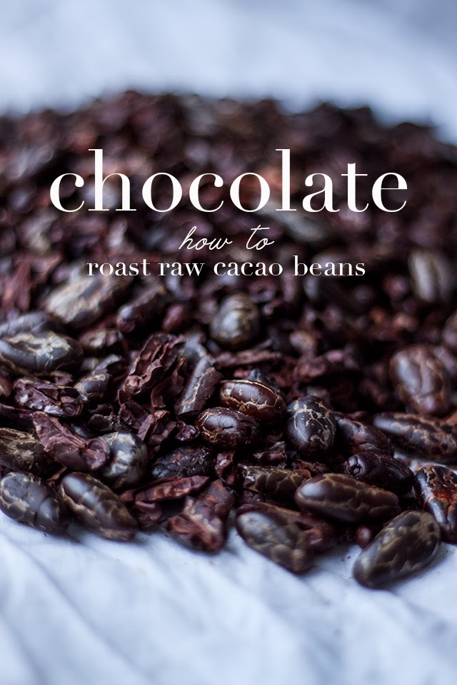 Must Have Resources For cacao beans