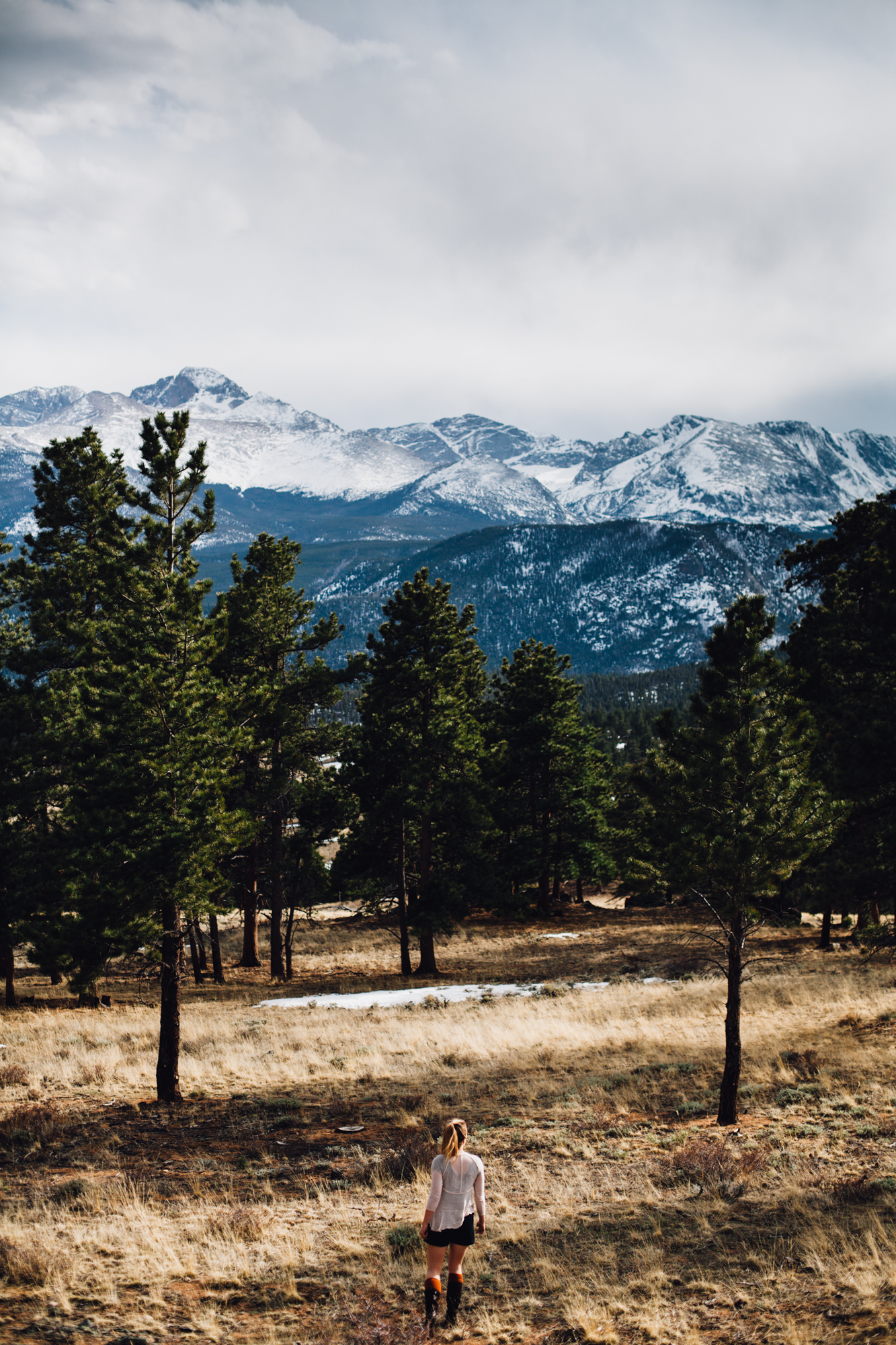 Colorado Dreaming