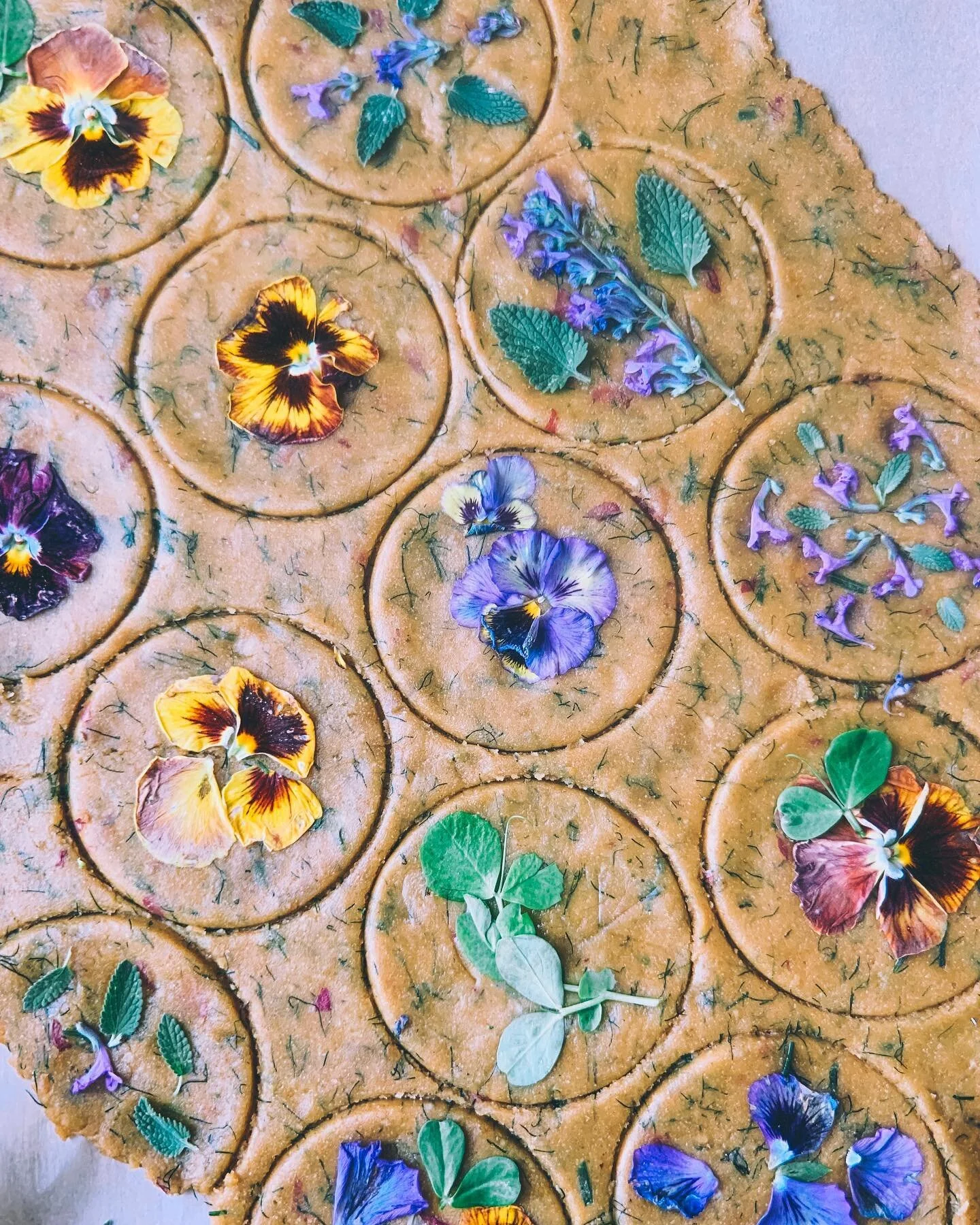 Jonesing for spring. Very ready to make flower crackers, cookies, cakes again.

These are gluten &amp; dairy free herbed oat crackers ✨🌿
.
.
.
.
.
#edibleflowers #edibleflower #floralcookies #floralinspiration #glutenfreedairyfree #beautifulfood #fo