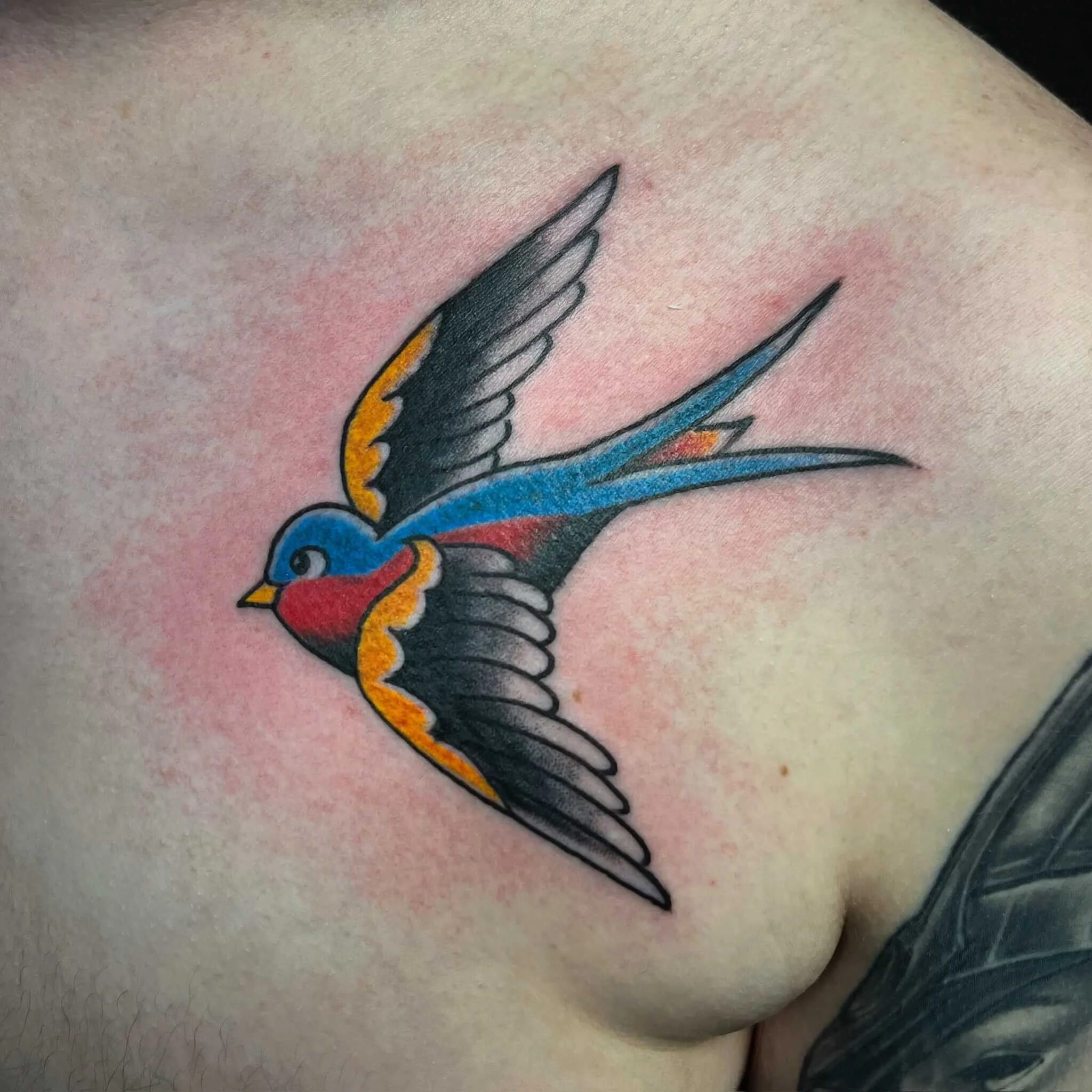 19-traditional-swallow-tattoo.jpg