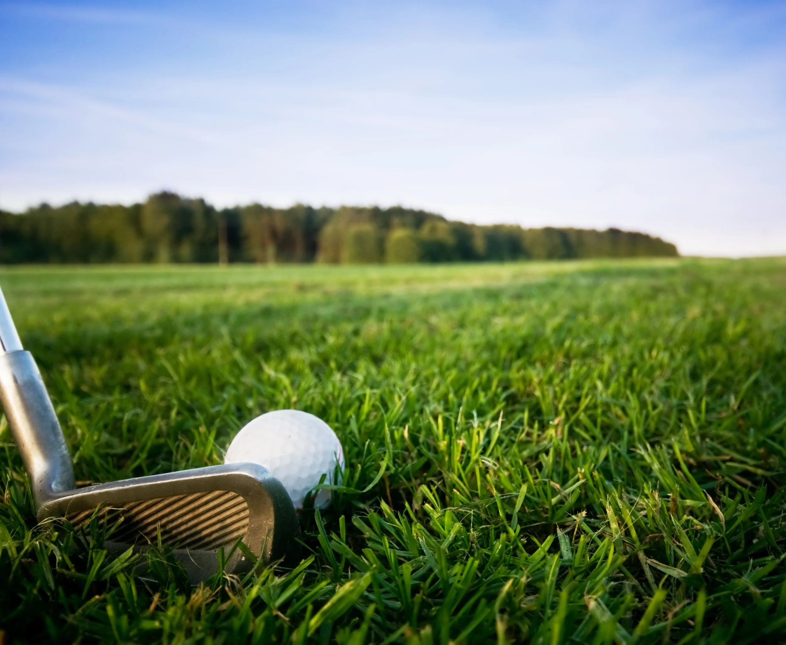 CEDAR Golf Scramble