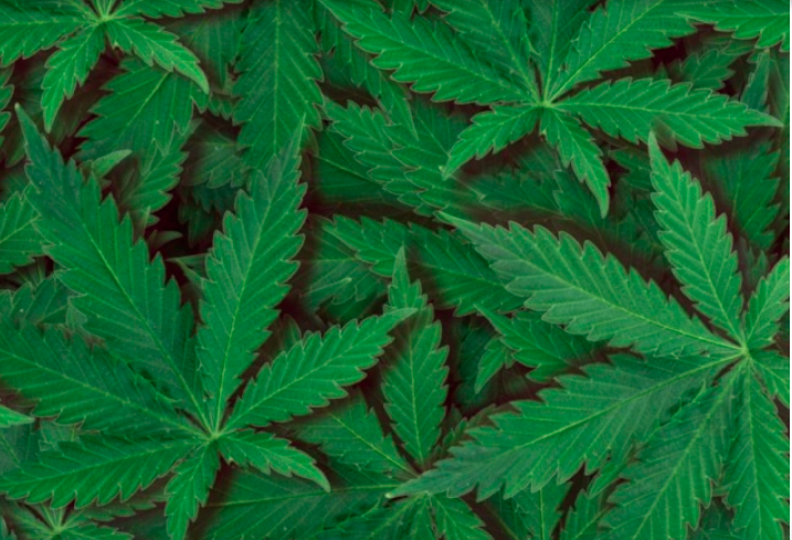 Screen Shot 2019-09-04 at 2.05.36 PM.png