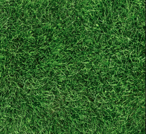 Screen Shot 2019-09-04 at 1.49.17 PM.png