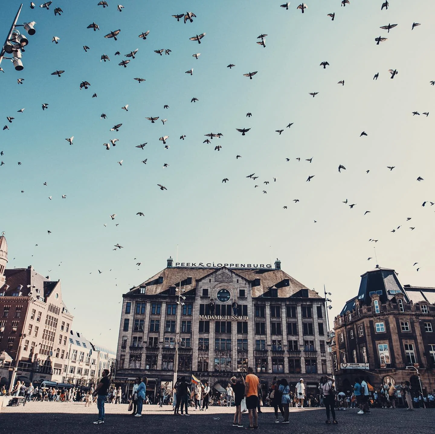 A short walk in Amsterdam. 

#canon #eos #square #pigeon #pigeons #color #sundayfunday