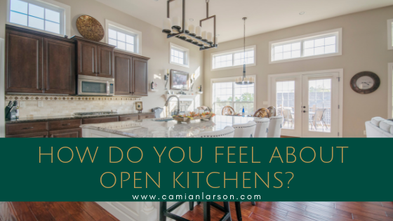 How Do You Feel About Open Kitchens?