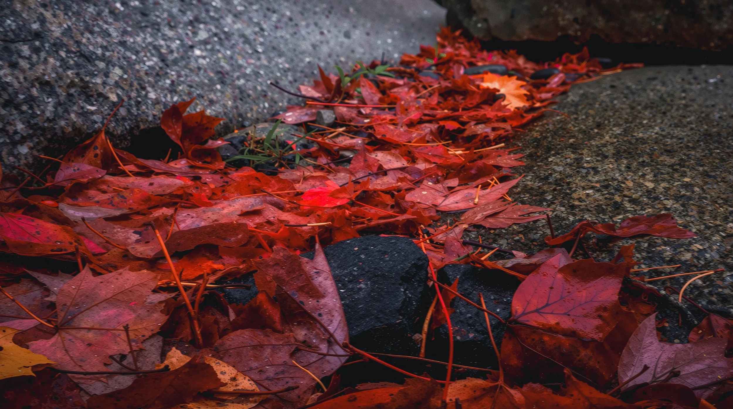 River of Red Upscale-2.jpg