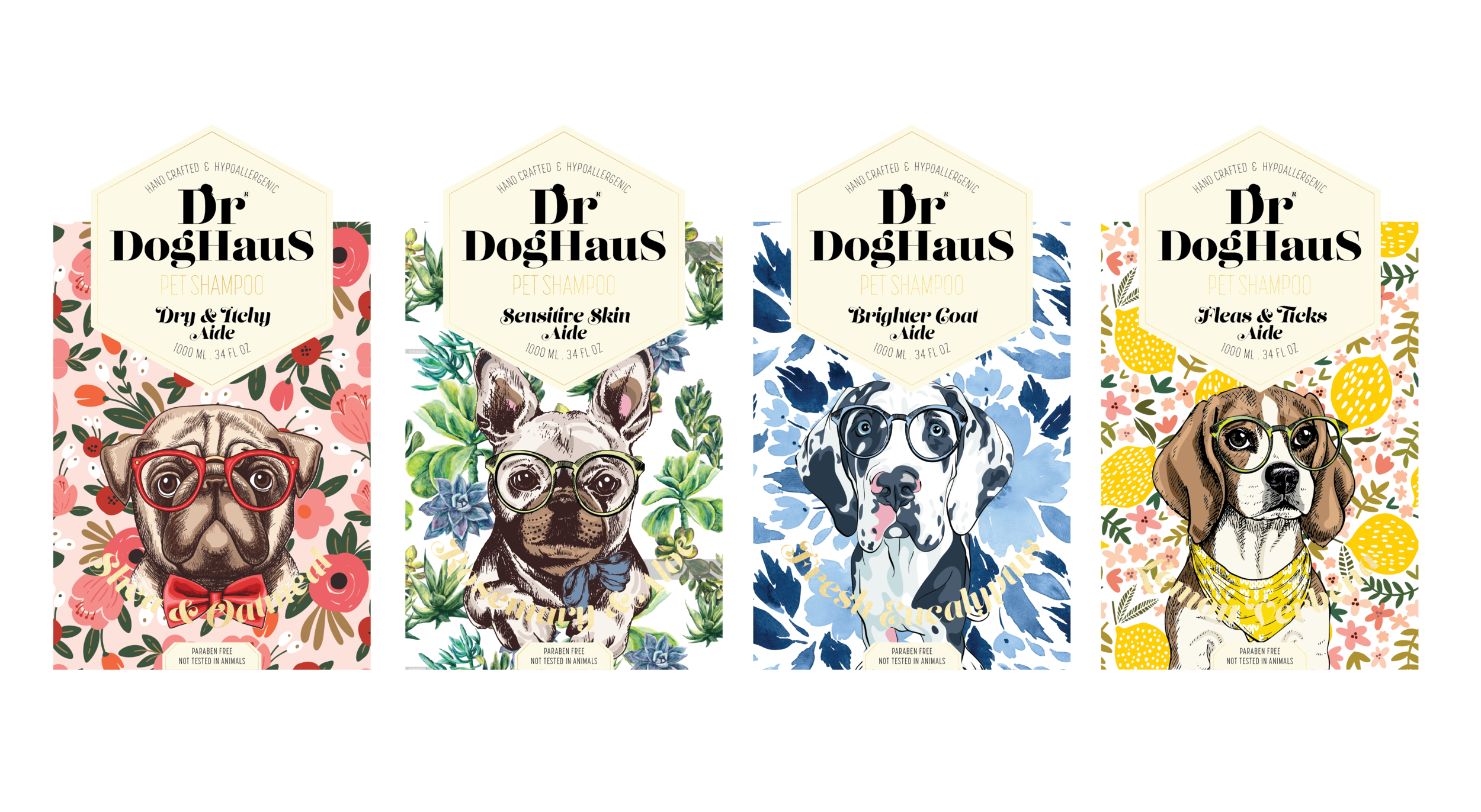 DrDoghaus_3.png