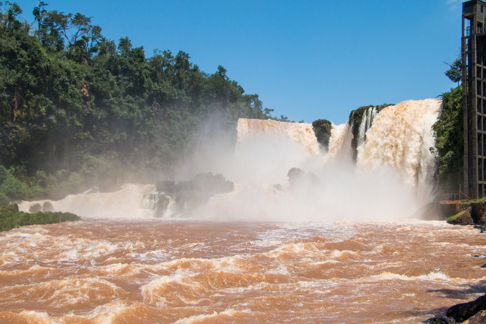 Selva paranaense