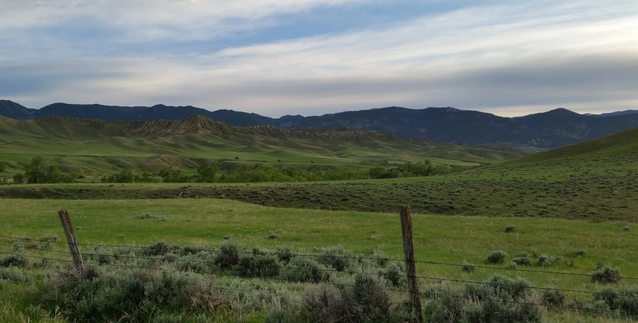 20160522_193835.jpg