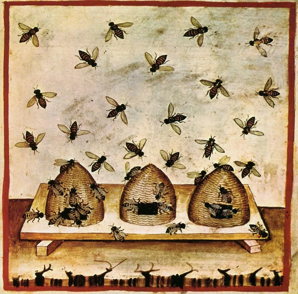 Bees in the Medieval Mediterranean: Economic, Environmental and Cultural perspectives